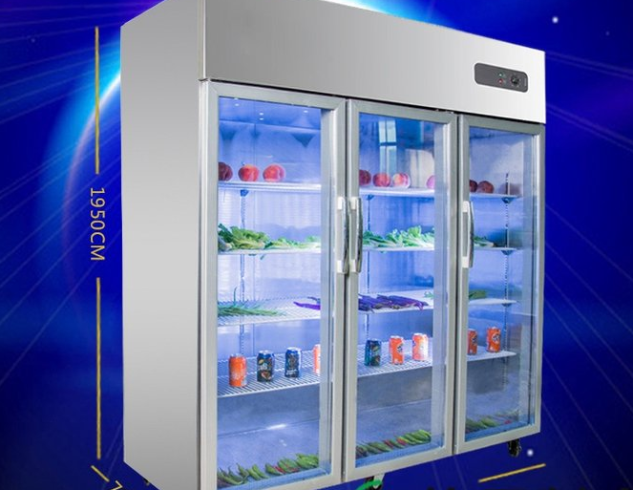 Commercial Vertical Freezer Manufacturer in China – Reliable Upright Freezer Supplier for Global Businesses-vlefooena