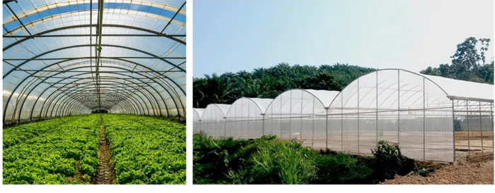 How to import Chinese factory production, vegetable greenhouse film-vlefooena