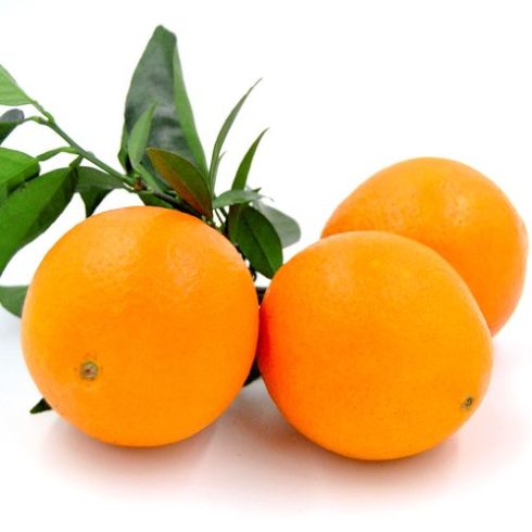 Wholesale Export of Gannan Navel Oranges from China to Singapore 🍊 – Premium Quality for Business Buyers-vlefooena