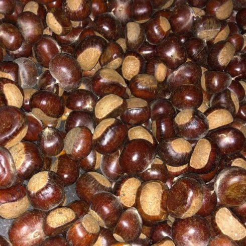 2024 China chestnut production base wholesale supplier-vlefooena