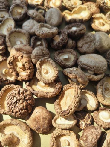 What is the price of Chinese shiitake mushrooms-vlefooena