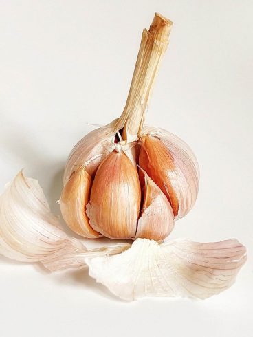 Step-by-Step Guide to Shipping Garlic Internationally from China-vlefooena