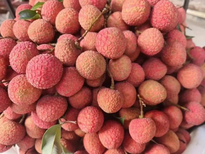 Inside a China Lychee Orchard: From Blossom to Global Export 🍒🌳-vlefooena