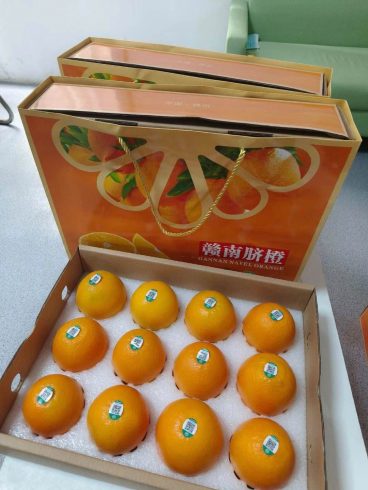 Premium Gannan Navel Oranges GI Certified Export Global Suppliers-vlefooena