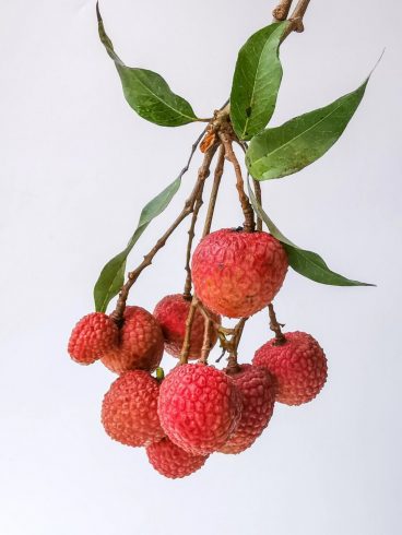 China Lychee Export Market Trends: Data-Driven Insights for Global Importers 🍒📊-vlefooena