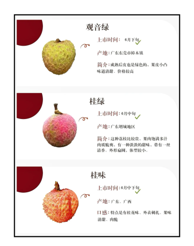 Fresh Lychee Exporter in China: Premium Quality, Reliable Supply & Global Shipping-vlefooena