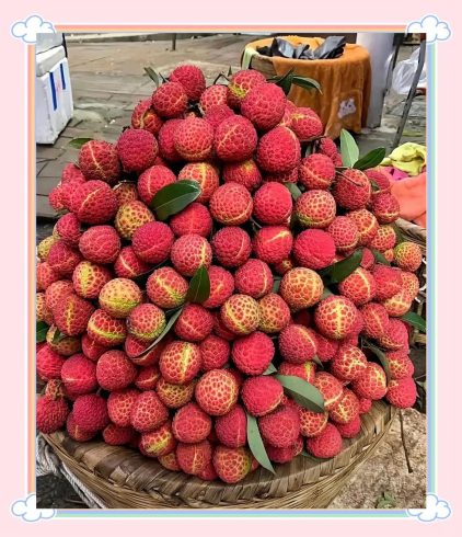 🍒 Importing Lychee from China: A Comprehensive Market, Quality, and Supply Chain Guide for Global Buyers-vlefooena