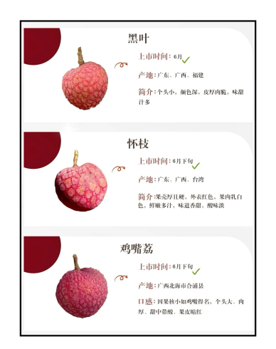 Fresh Lychee Exporter in China: Premium Quality, Reliable Supply & Global Shipping-vlefooena