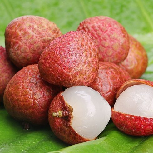🍒 Importing Lychee from China: A Comprehensive Market, Quality, and Supply Chain Guide for Global Buyers-vlefooena
