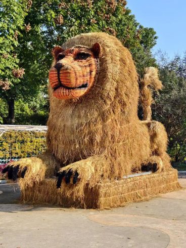 Festival Straw Decoration Supplier: Outdoor Straw Solutions for Global Events-vlefooena