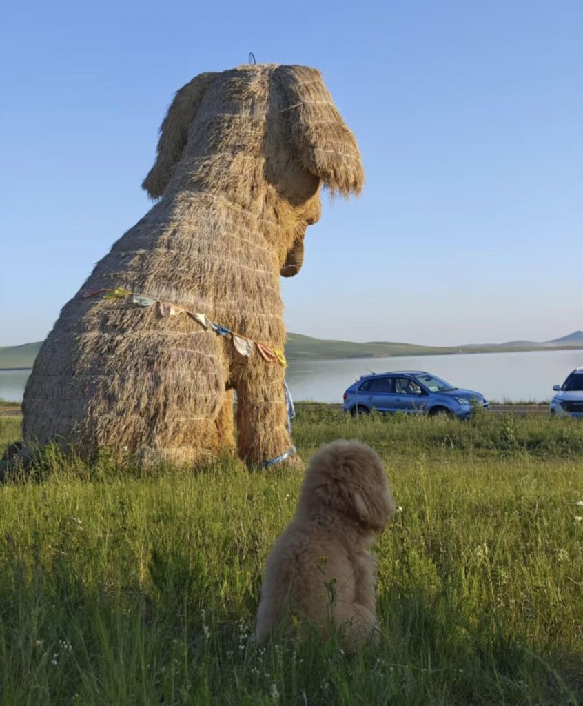 Outdoor Decor: Handmade Giant Panda Straw Installation for Tourism Project & Park Landscape-vlefooena