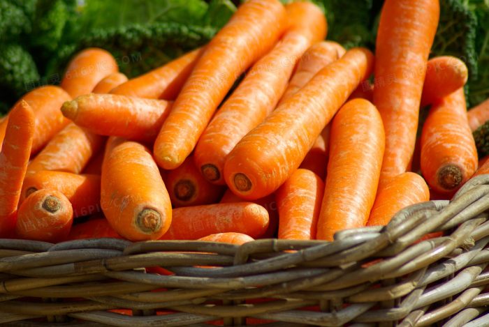 China Carrot Suppliers: A Comprehensive Guide to Quality, Reliability, and Global Reach-vlefooena