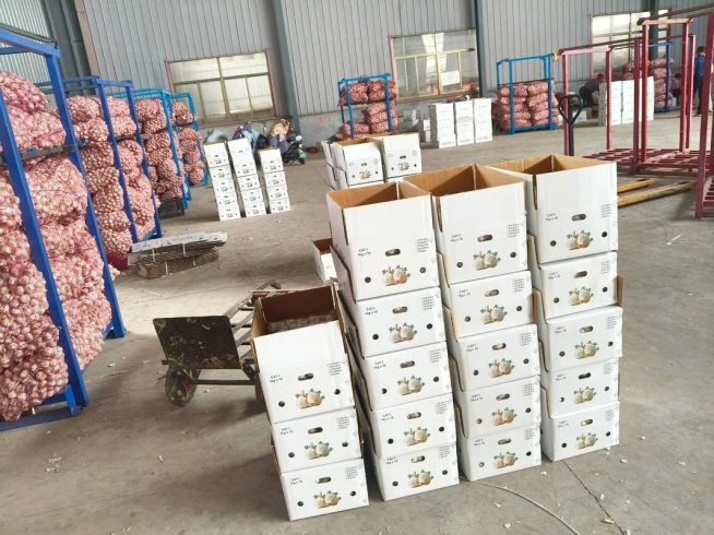 Premium China Garlic: Bulk Supply & Quality You Can Trust-vlefooena