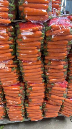 China’s Carrot Wholesale Suppliers: The Backbone of Global Fresh Produce Trade-vlefooena