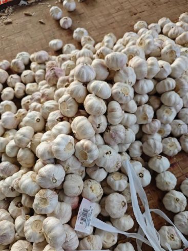 China Garlic: Bulk Supply for Global Wholesale & Retail-vlefooena