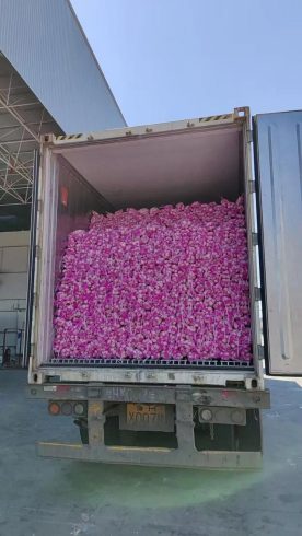 Premium China Garlic: Bulk Supply & Quality You Can Trust-vlefooena