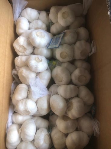 The Global Powerhouse: Unveiling China's Dominance in Garlic Supply-vlefooena
