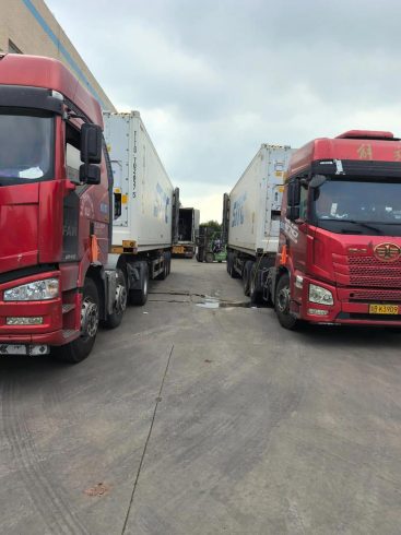 China Ginger Supplier – Complete Guide for Global Buyers-vlefooena