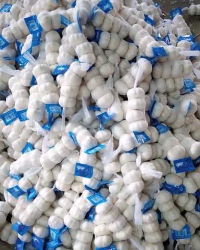 The Global Powerhouse: Unveiling China's Dominance in Garlic Supply-vlefooena