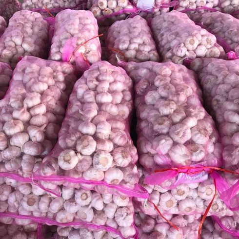 China Garlic: Bulk Supply for Global Wholesale & Retail-vlefooena