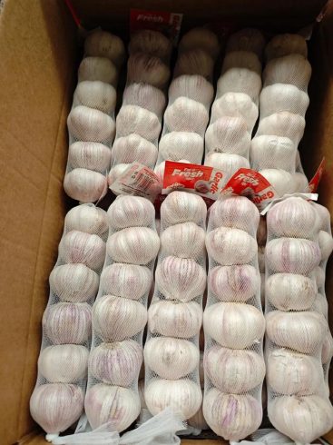 China Garlic: Bulk Supply for Global Wholesale & Retail-vlefooena