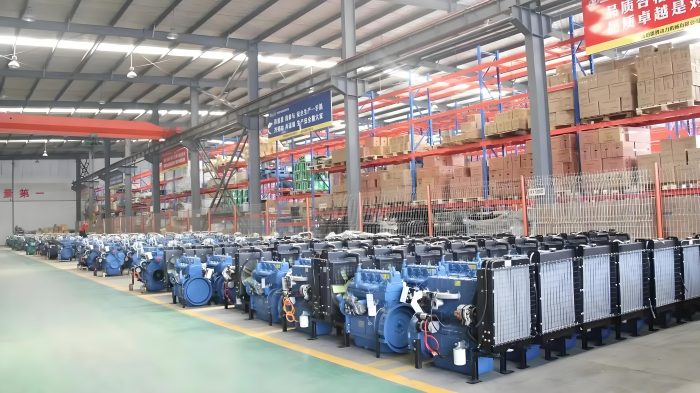 What Should You Check Before Buying a Diesel Generator from China?-vlefooena