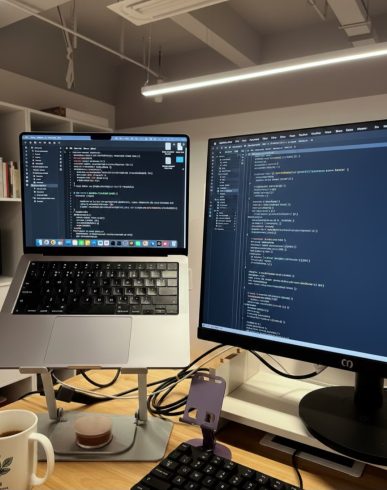Web Development Company vs. Freelancer: Which Is Better for Your Project?-vlefooena