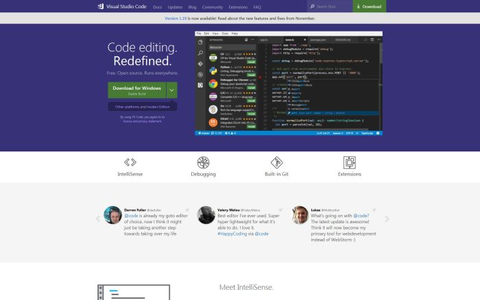 Custom Web Development Services: What Should Businesses Look For?-vlefooena